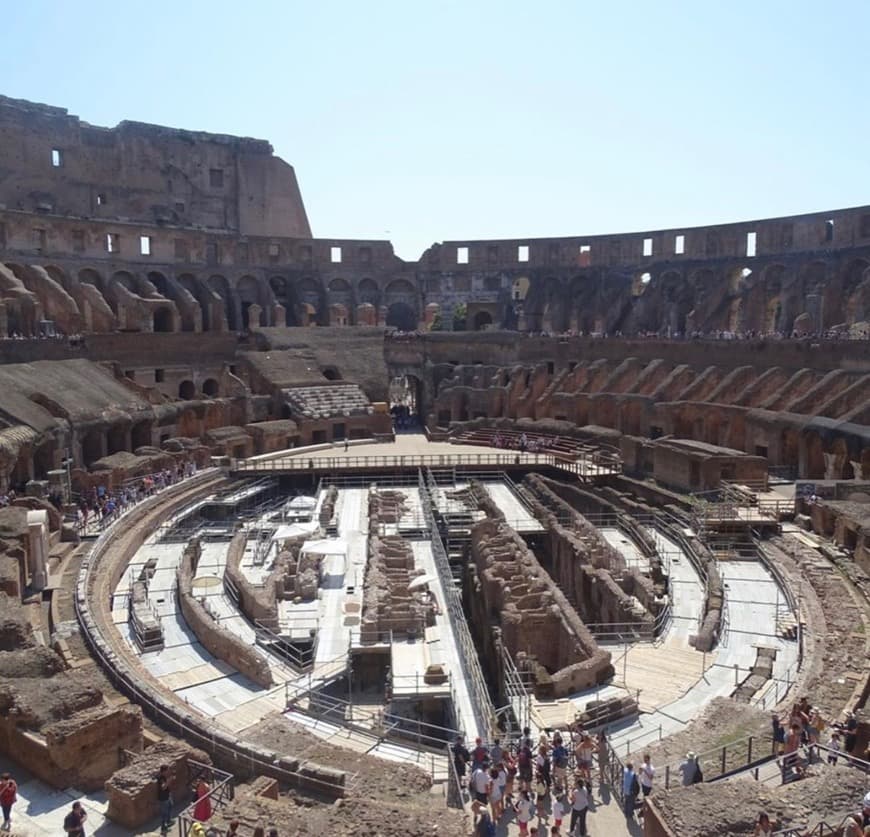 Fashion Colosseo 