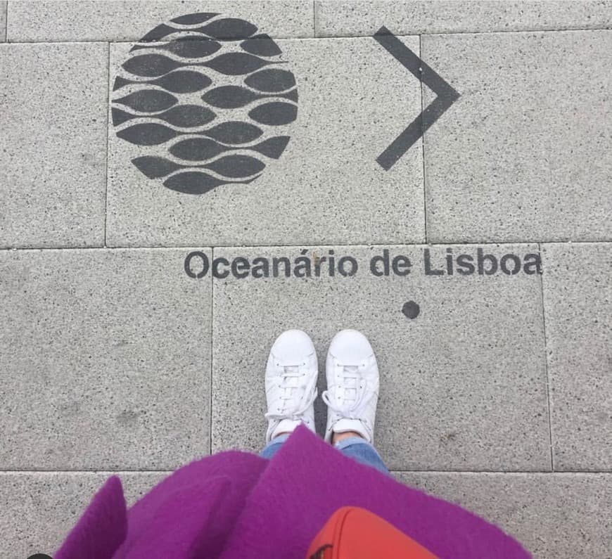 Place Oceanario de Lisboa