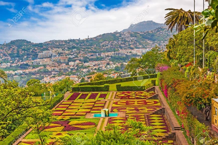 Place Jardín Botánico de Madeira