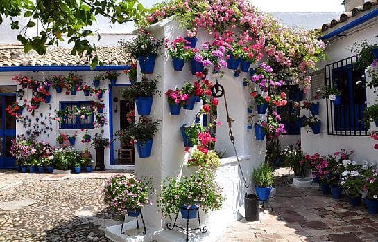 Place Patios de Córdoba Experience