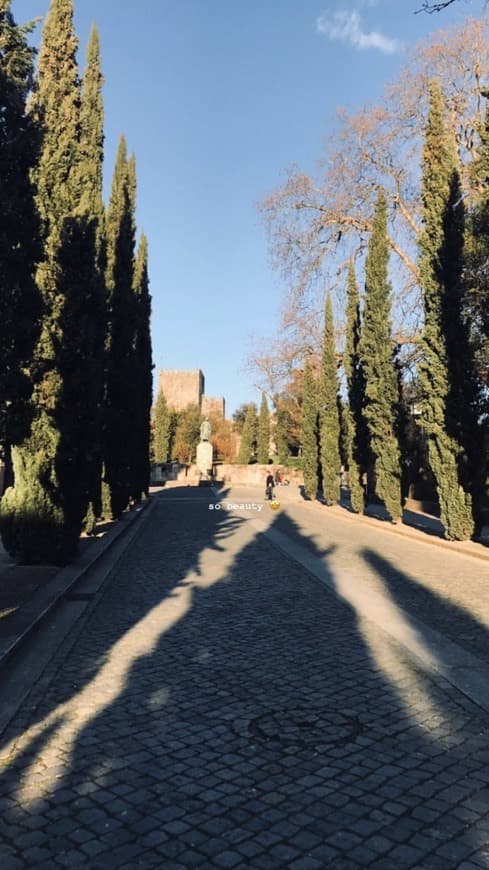 Lugar Guimarães Castle