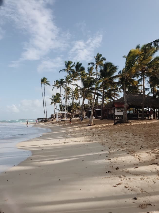 Lugar Now Onyx Punta Cana Resort & Spa