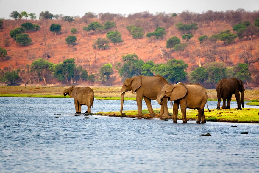 Lugar Botswana