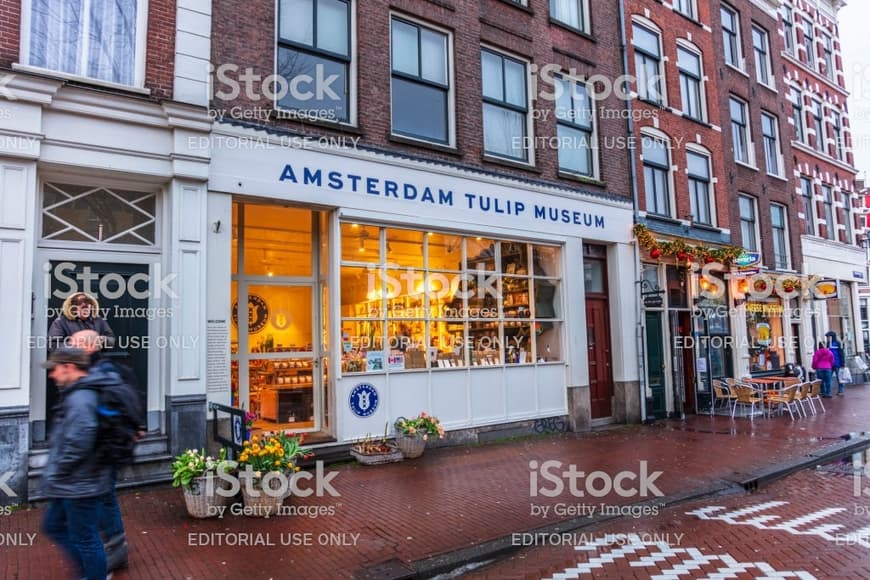 Place Amsterdam Tulip Museum