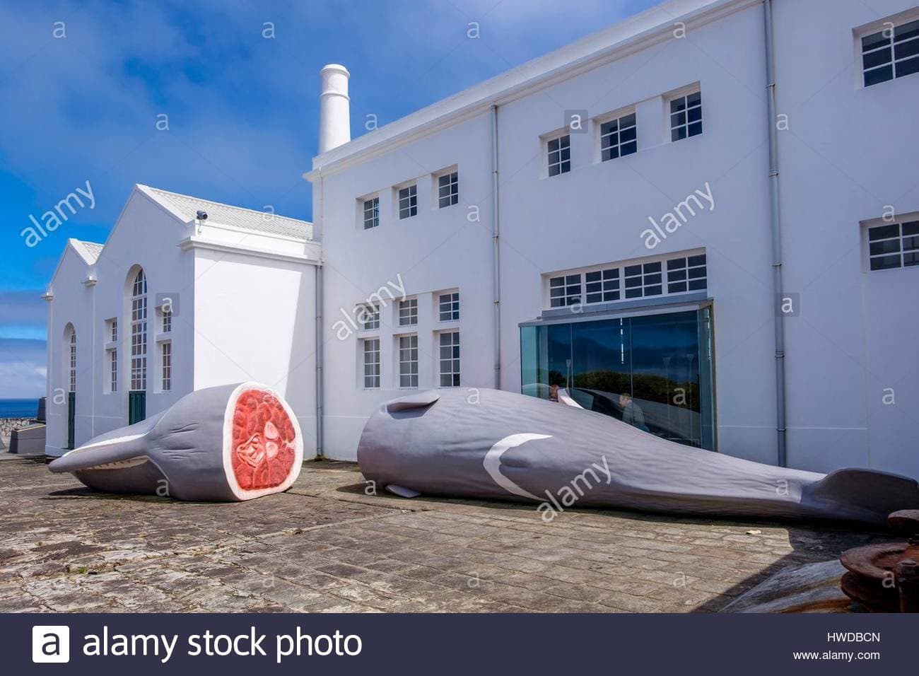 Place Museu da Fábrica da Baleia do Boqueirão