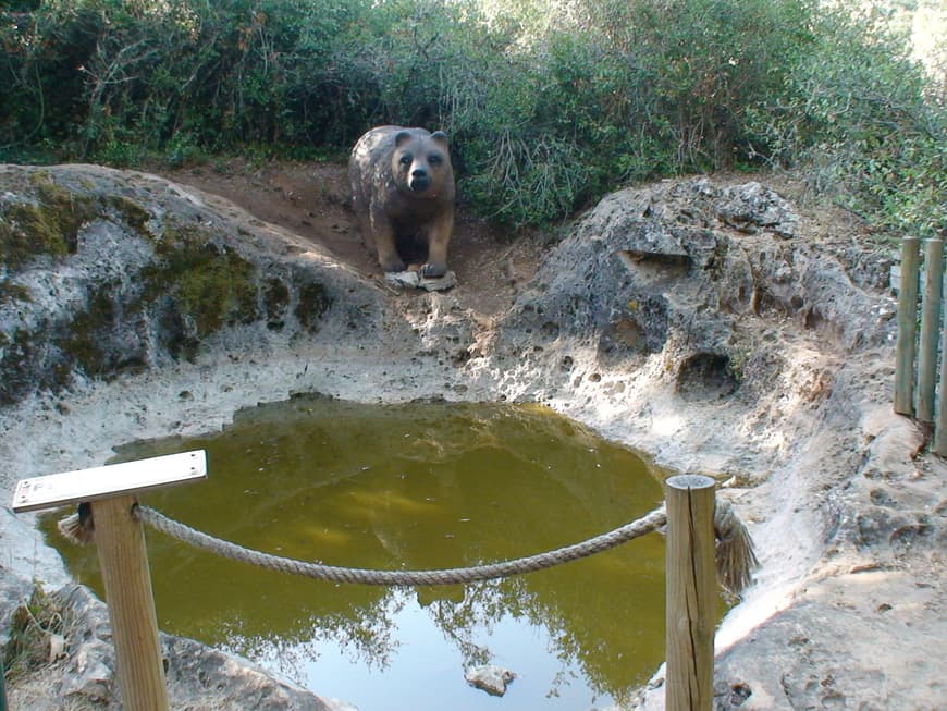 Lugar Pia Do Urso