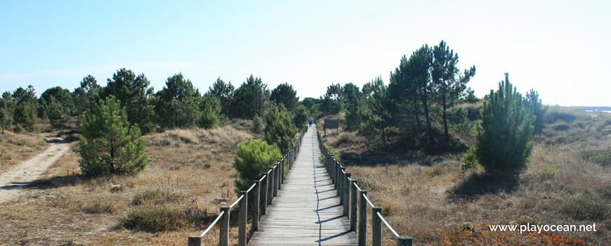 Lugar Viana do Castelo - Praia do Cabedelo