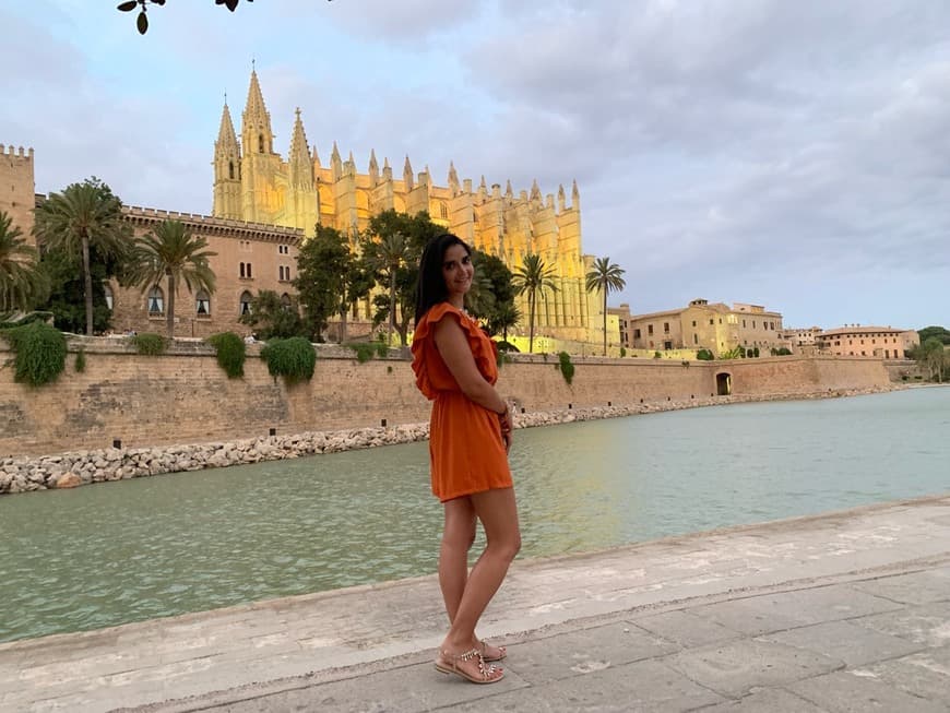 Place Catedral-Basílica de Santa María de Mallorca