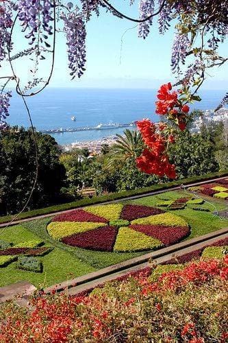 Place Jardín Botánico de Madeira