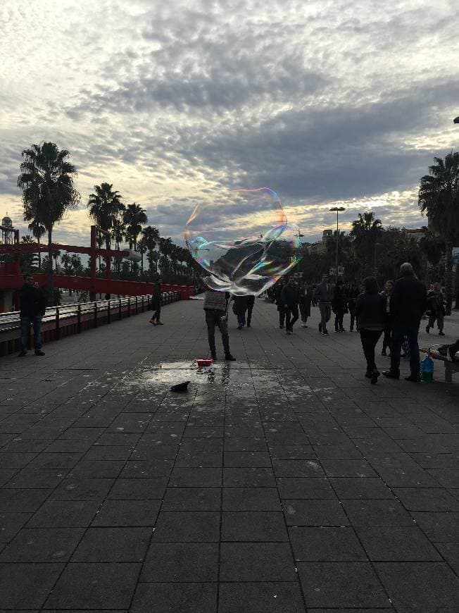 Lugar Passeig de Colom