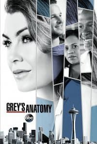 Serie Grey's Anatomy