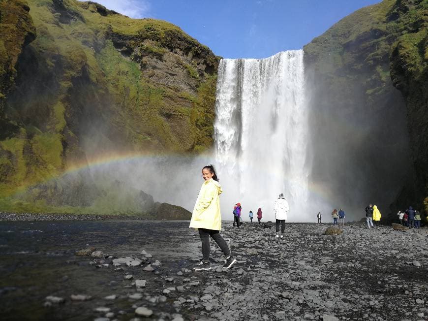 Place Skógafoss