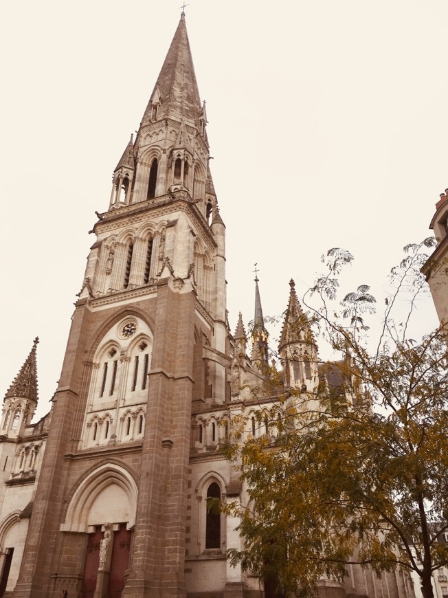 Lugar Basílica de San Nicolás