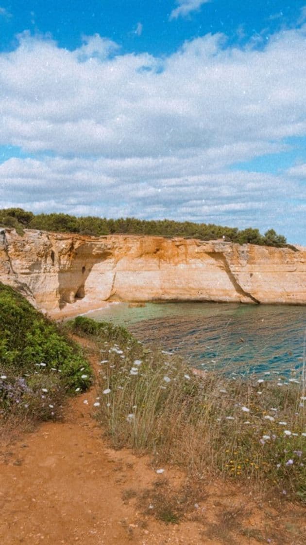 Place Praia do Carvalho