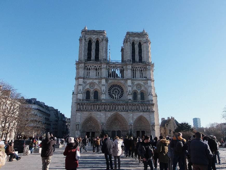 Place Catedral de Notre Dame