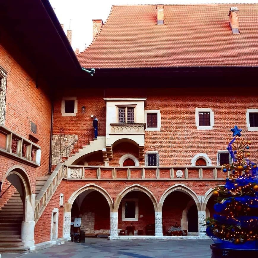 Place Collegium Maius