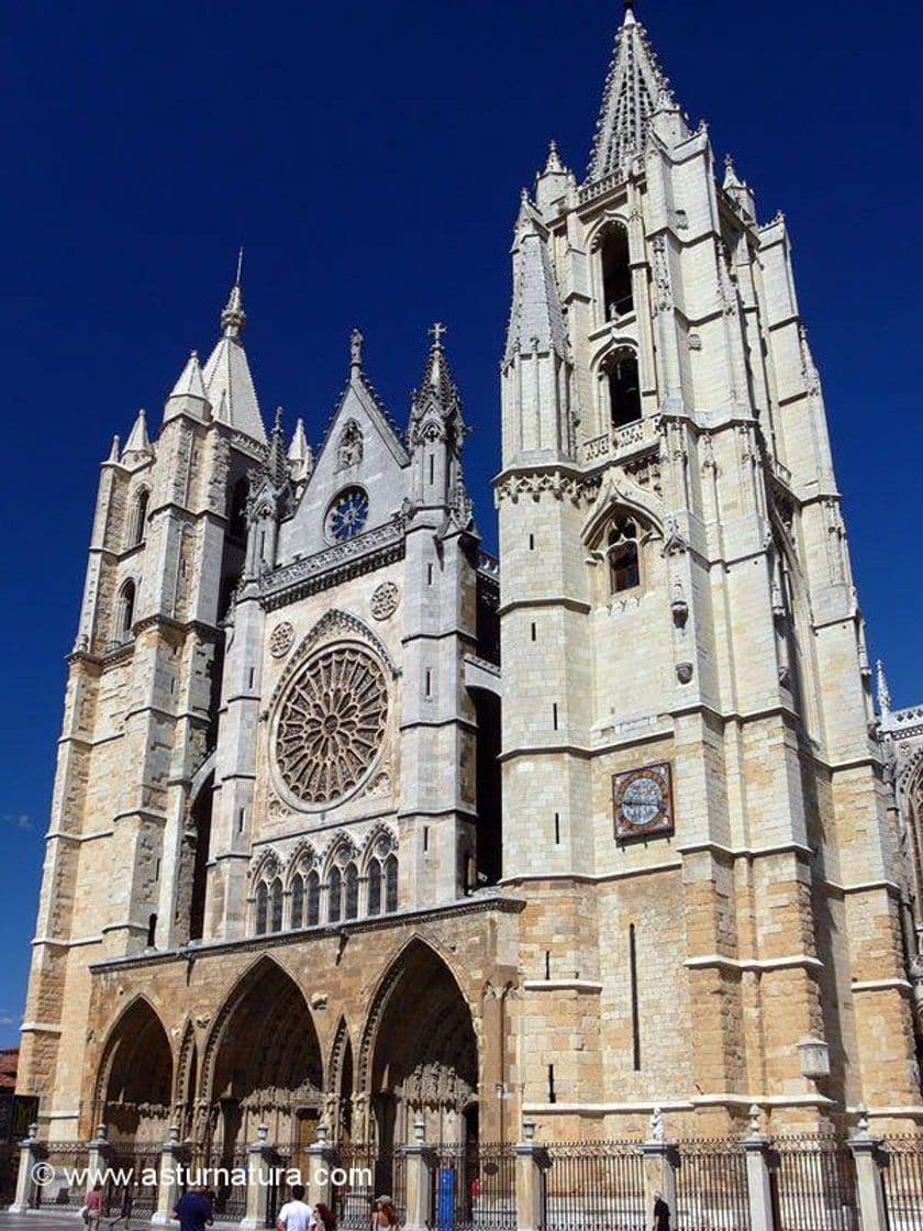 Place Catedral de León