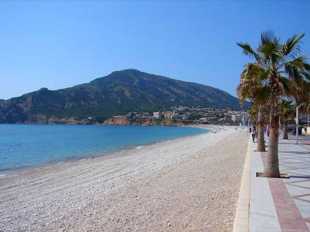 Place Playa del Albir