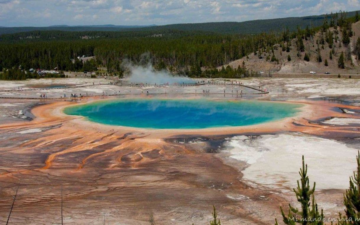 Place Parque Nacional Yellowstone