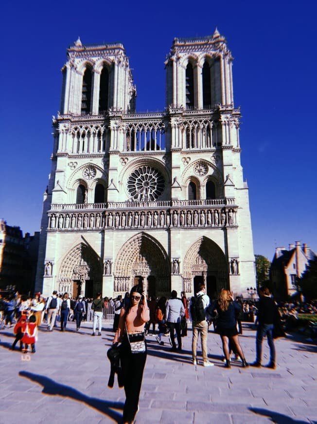 Lugar Catedral de Notre Dame