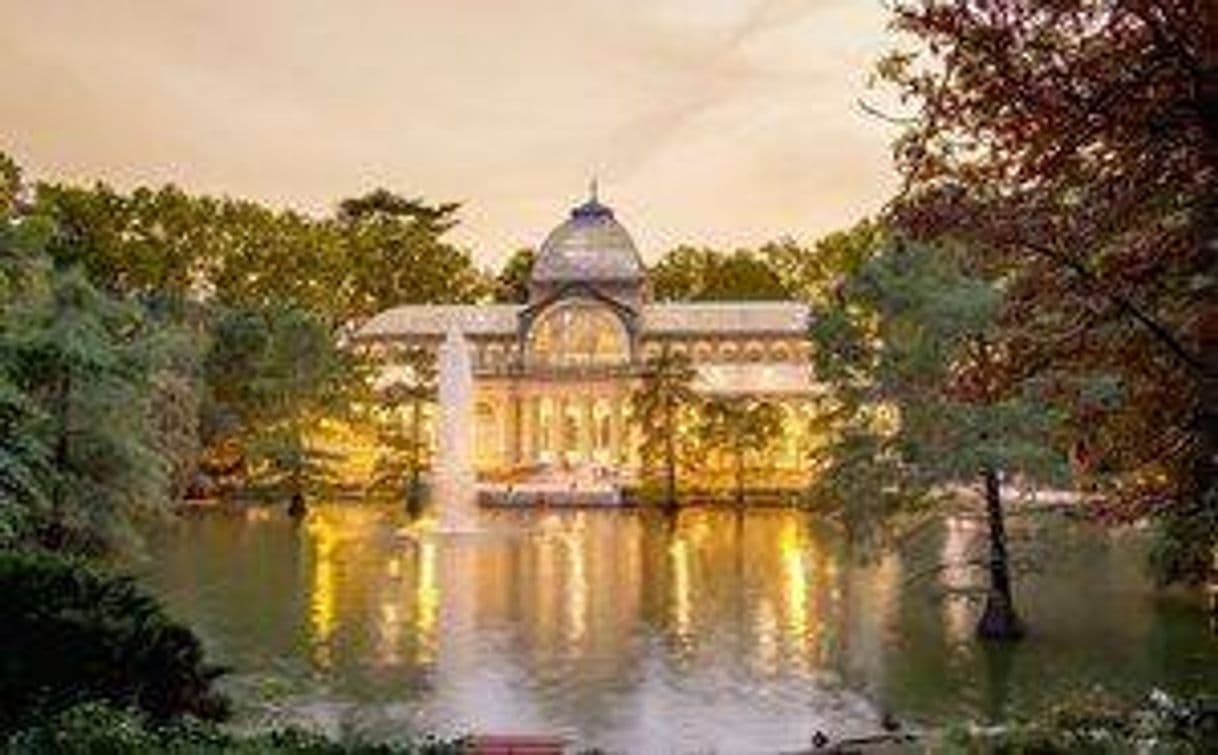 Lugar Palacio de Cristal