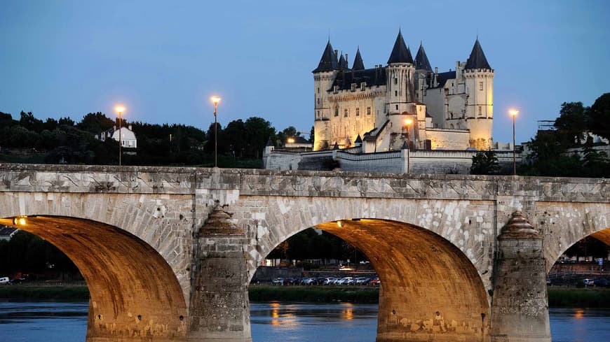 Place Château de Saumur