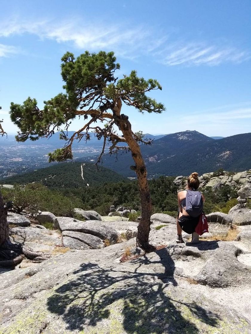 Lugar Sierra de Guadarrama