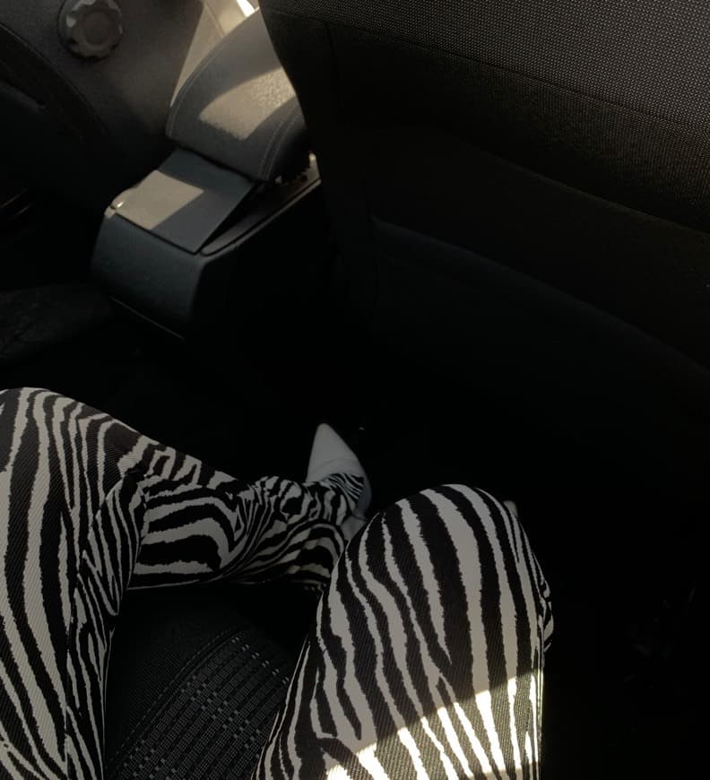 Producto Zebra pants 