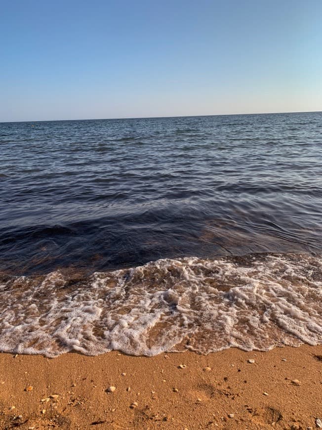 Lugar Praia da Coelha