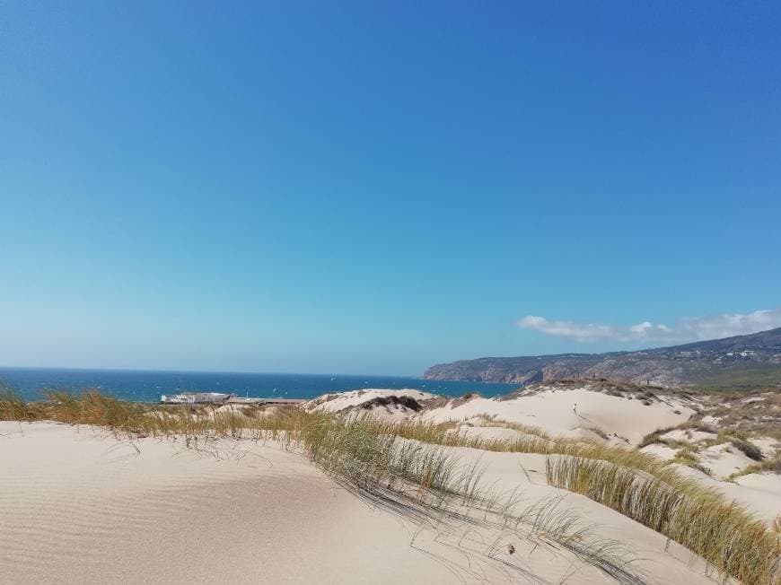 Lugar Guincho Beach Dunes