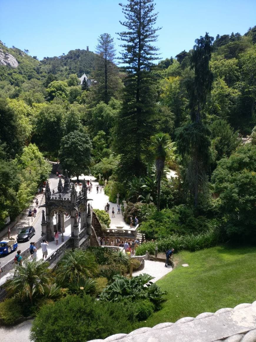 Lugar Quinta da Regaleira