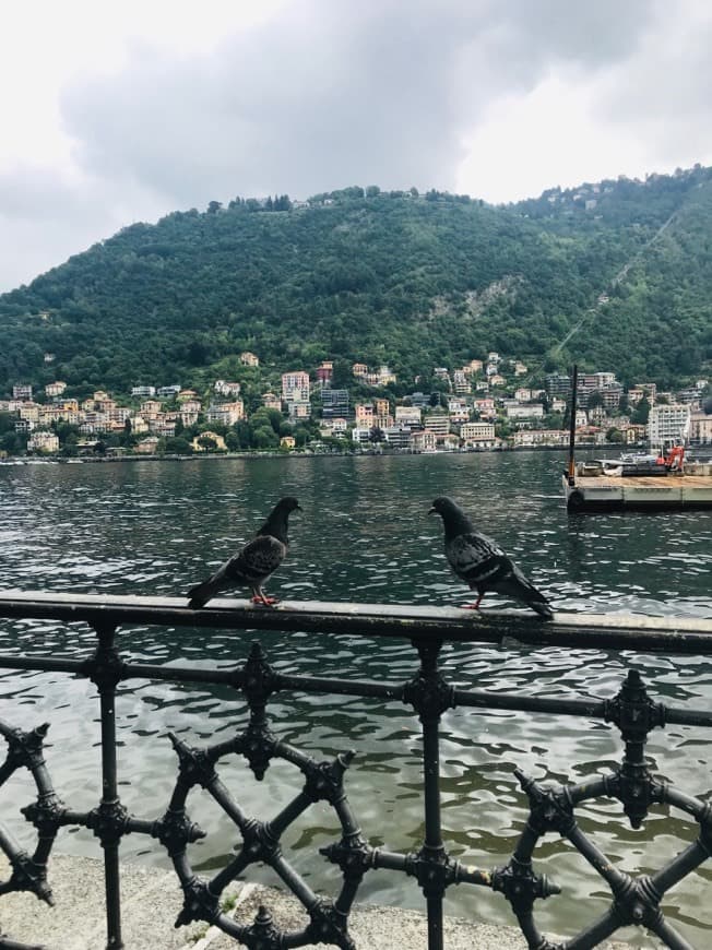 Place Lago di Como