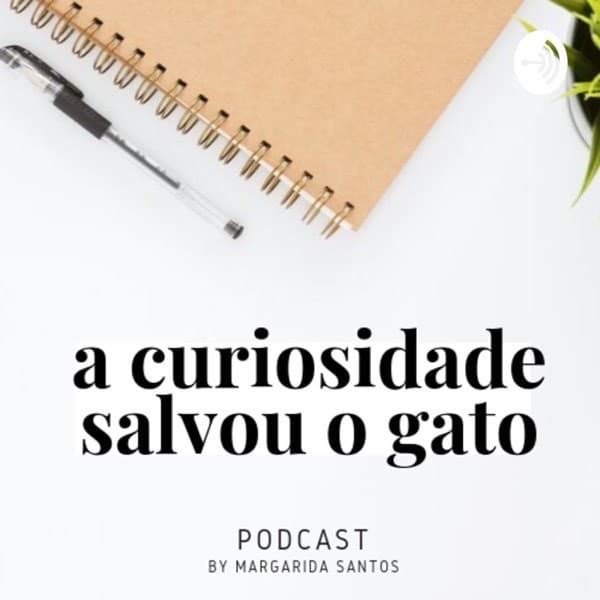 Fashion A curiosidade salvou o gato - Margarida Santos 