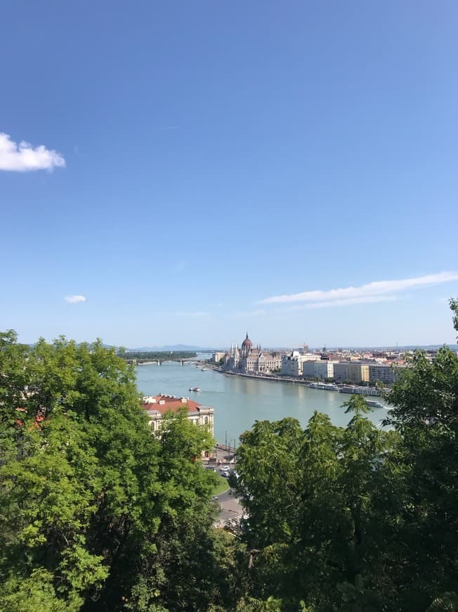 Restaurants Buda Castle