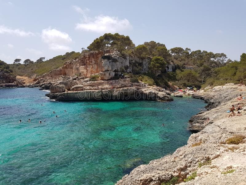 Place Cala s'Almonia