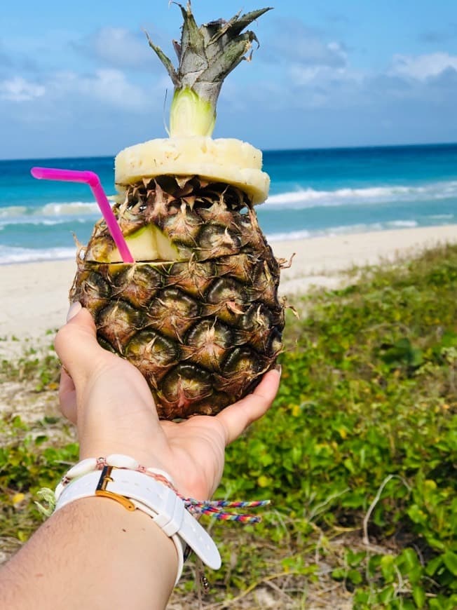 Fashion Piña colada - Wikipedia