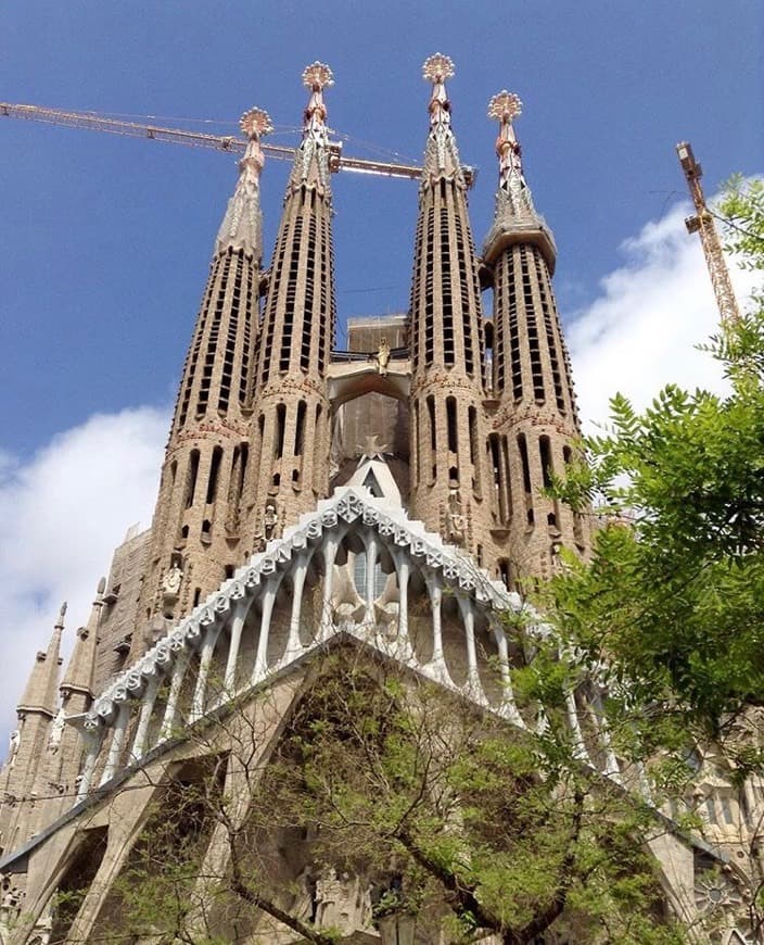 Lugar Basílica Sagrada Familia