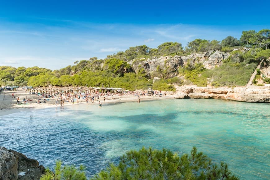 Place Cala S'Amarador