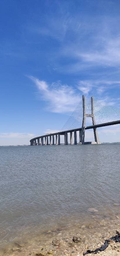 Lugar Ponte Vasco da Gama