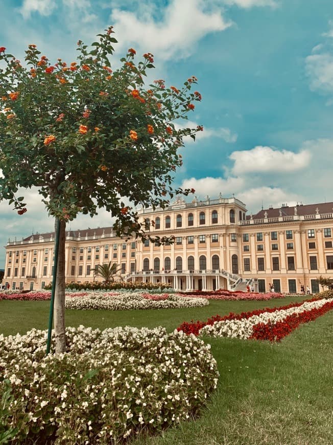 Lugar Schlosspark Schönbrunn