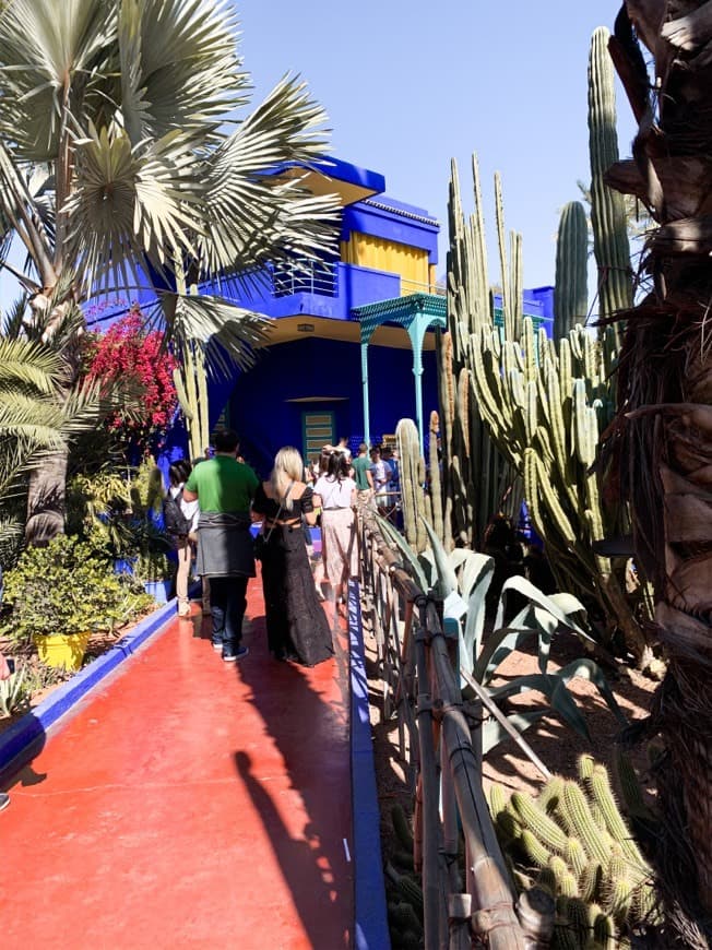 Lugar Jardín Majorelle