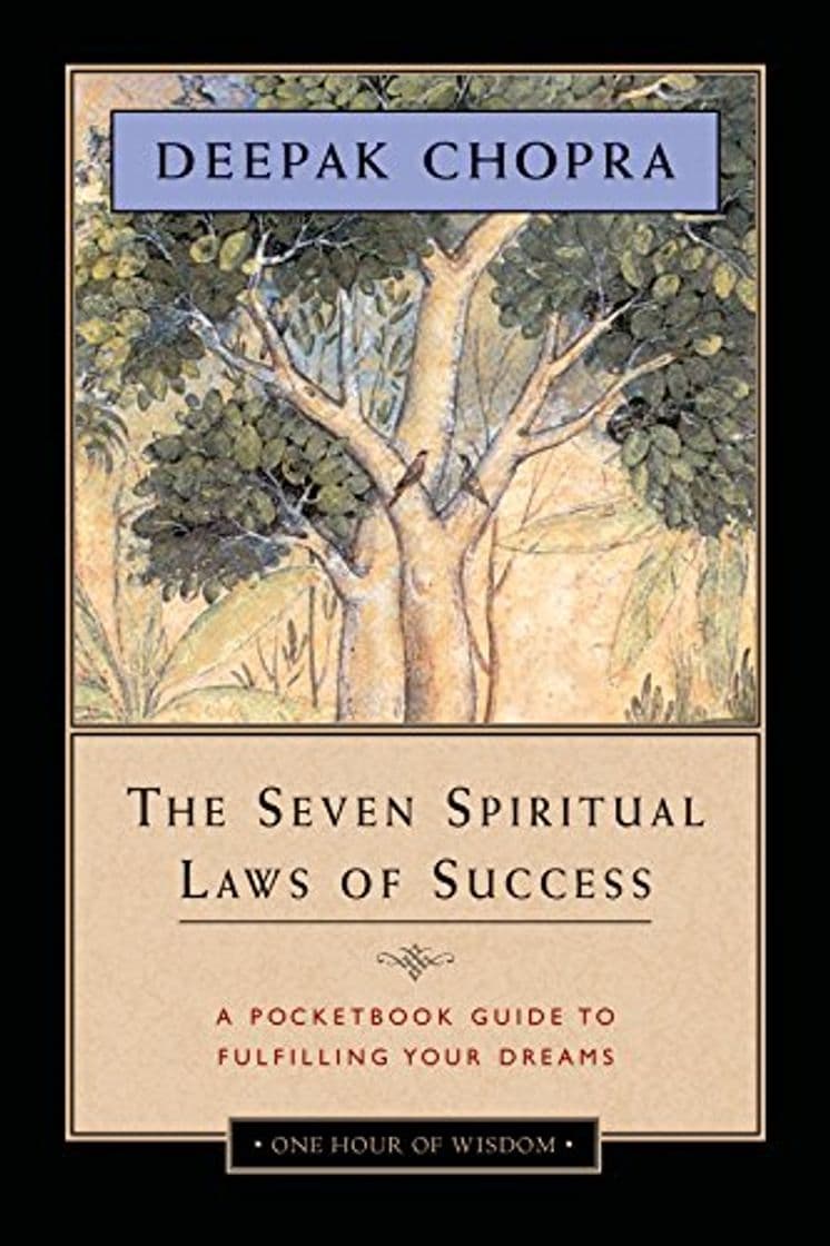 Book Seven Spiritual Laws of Success