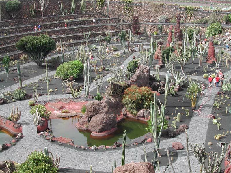 Lugar Jardín de captus (Lanzarote) 