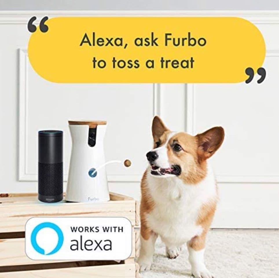 Fashion Furbo Dog Cámara ( Alexa compatible)