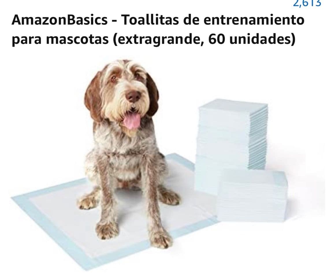 Fashion Tapetes para perros 