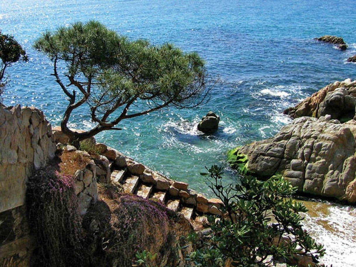 Lugar Camí de Ronda