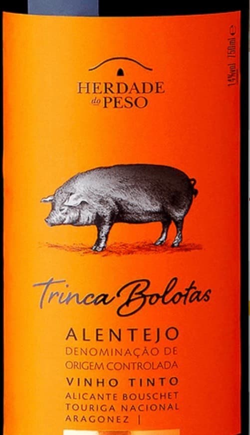 Moda Vinho-Trinca bolotas 