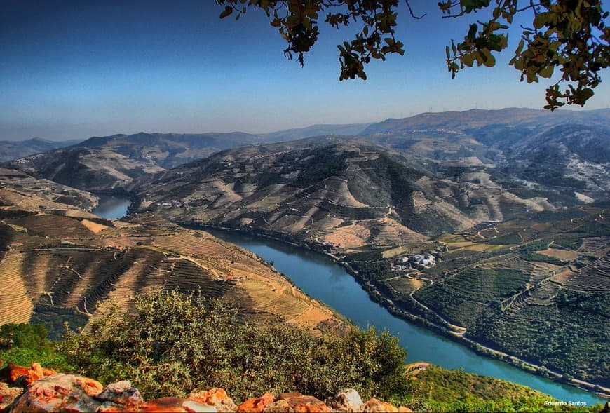 Lugar Miradouro São Leonardo de Galafura