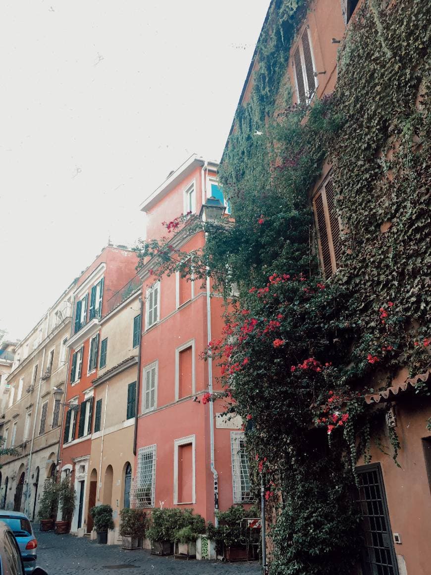 Lugar Trastevere Barrio