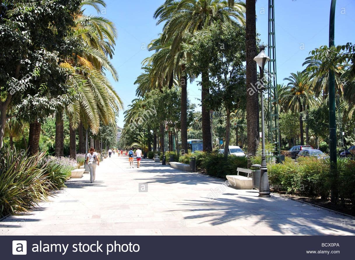 Place Paseo del Parque